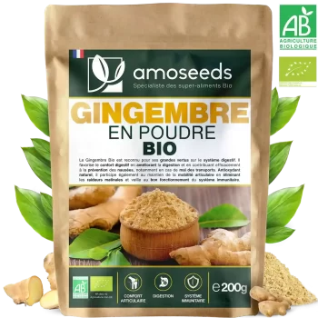 Gingembre en Poudre Bio 500G