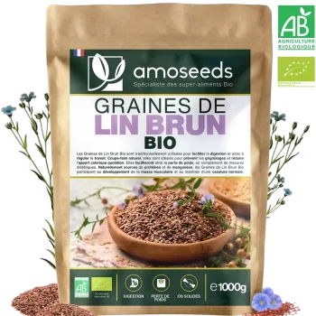 Graines de Lin Brun Bio 1kg