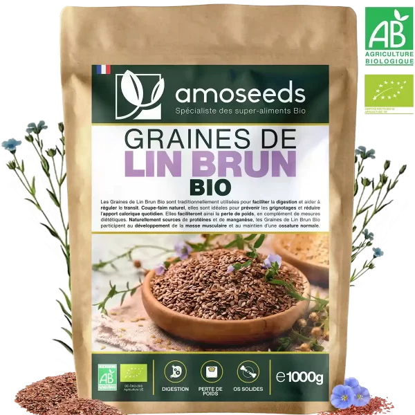 Graines de Lin Brun Bio 1kg