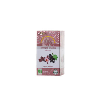 Infusion Cassis Hibiscus bio