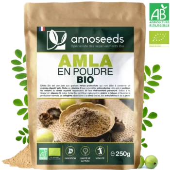 Amla en Poudre Bio 250g