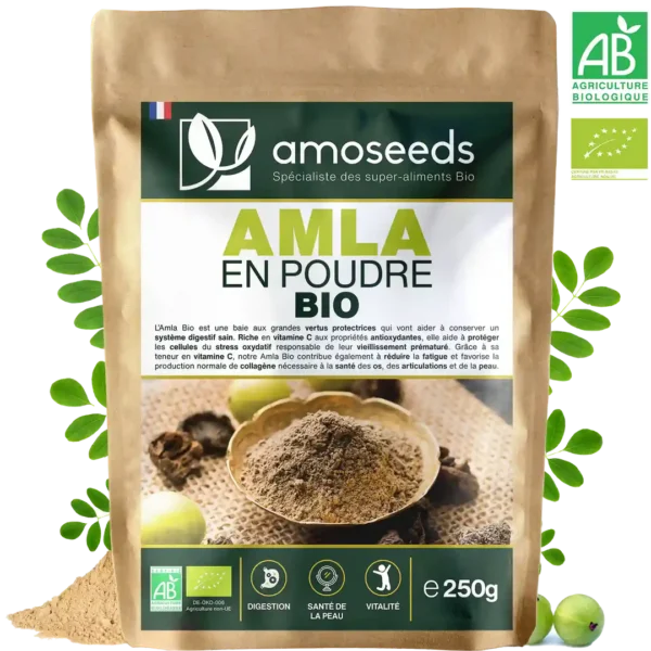 Amla en Poudre Bio 250g