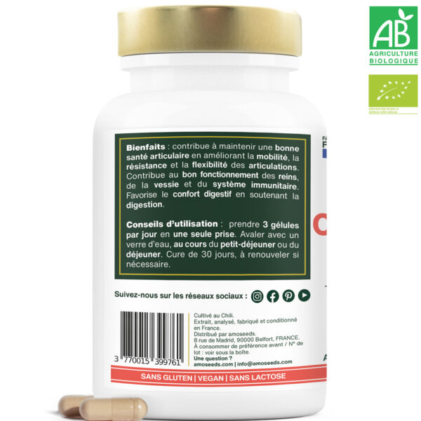 Cynorrhodon Bio, Extra Fort | 90 gélules